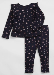 Baby Gap Toddler Girl Sz 0-3 Months Outfit Set Navy Floral Ruffle Top Pants - Picture 1 of 6
