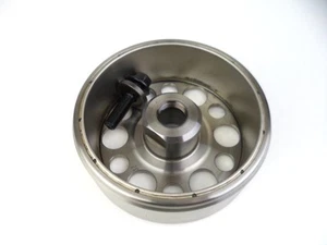 DENSO VOLANO MAGNETE ROTORE MOTORE ORIGINALE HONDA HORNET 600 2010 - Imagen 1 de 6