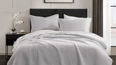 Nuevo en caja $805 Donna Karan Terciopelo Suave Cosido a Mano F/Q Edredón + Dos Fundas en PLATINO Foto 1 de 4