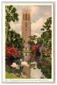 Postcard: FL The Singing Tower From The North, Lake Wales, Florida - Unposted - Picture 1 of 2