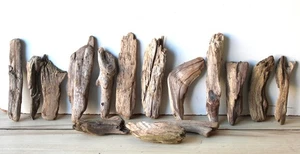 Madera flotante Driftwood 15 pequeñas maderas terrario 14-26 cm *74* - Imagen 1 de 15