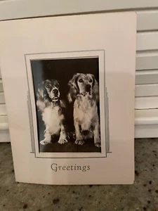 Vintage Unused Crestwick Note Card/Envelope Dog Photo 4" x 5 1/4" - Picture 1 of 4