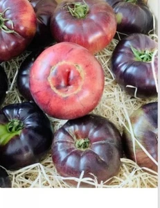 (60)semillas de tomate azul antociano. - Imagen 1 de 5