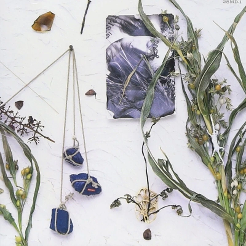 Mashima Masatoshi/Natsu No Nukegara MEJR50001 New LP - Imagem 1 de 1