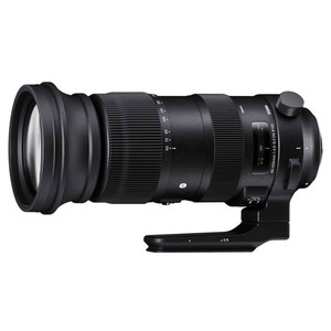 Sigma 60-600mm F/4,5-6,3 AF (S) DG OS HSM per Sony E-Mount
