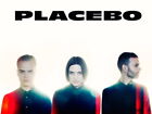 V3793 Placebo Rock Band Group Music Cool Art Decor WALL POSTER PRINT CA