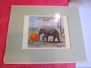 Estate 70s Rubidoux ELEPHANT ORANGE CRATE repro PRINT in MAT suitable for FRAME - Picture 1 of 12