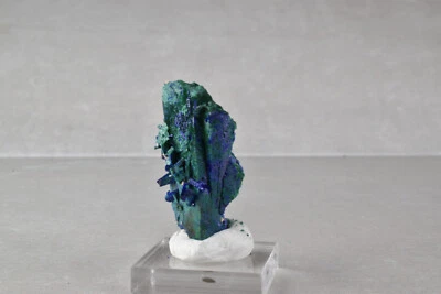 Azurite to Malachite Pseudomorph from Kerrouchene, Morocco 3.5 cm  # 18518 - Image 1 of 4