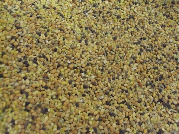 25kg Streufutter Wildvogelfutter Winterstreufutter Vogelfutter - Bild 1 von 1