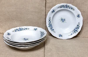 Vintage Favolina China Candia Floral Soup Cereal Bowls Cottage Fairy Core Poland - Imagen 1 de 7