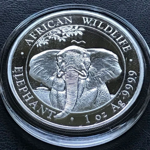 2021 Somalian Elephant 1 oz .999 Silver Brilliant Uncirculated Mint Coin Africa Cover