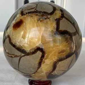 1660G Natürlicher Schildkrötenrücken Stein Drache Kristallkugel Quarz Mineral Heilung - Bild 1 von 11