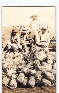 VF-1920 Men w Pineapple~Industry Labor~RPPC Photo Postcard Hawaii Workers -H4 - Picture 1 of 4
