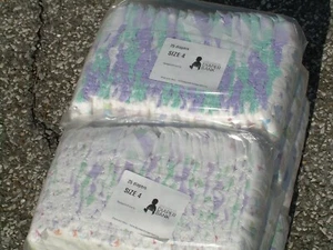 Greater DC Disposable Diapers Economy Pack - Size 4 - 150ct - Picture 1 of 3