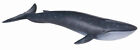 NEW CollectA 88044 BLUE WHALE Model 23cm - SeaLife Ocean - RETIRED