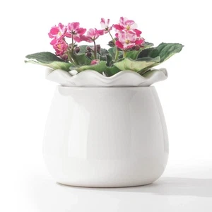 Self Watering Plant Pot 6 African Violet Pots Maintenance Ceramic Self-Watering - Picture 1 of 7