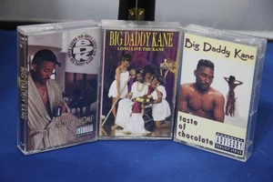 3 Big Daddy Kane Daddy’s Home,taste of chocolate,lone live the kane Cassette - Picture 1 of 4
