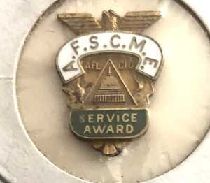 VTG Service Award: AFSCME American Federation State County Municipal Employees - Picture 1 of 2