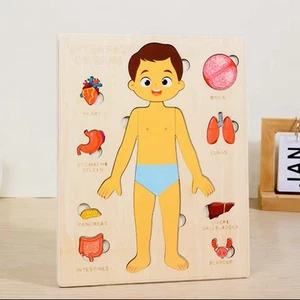 Montessori Wooden Human Puzzle – Toddler Anatomy Toy for Early Learning - Picture 1 of 4