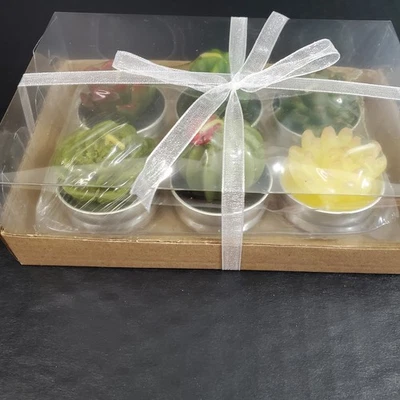 Set of 6 Mini Succulent Tea Light Candles Mini Plants Cactus NEW Gift Box - Image 1 of 4