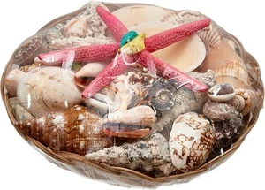 Surtido de conchas marinas en cesta tejida de 10" - Imagen 1 de 4