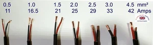 Thinwall Auto Cable 12/24volts Thin Wall Flat Twin Cut to Length by the metre - Picture 1 of 13