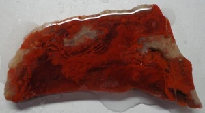 WRG- Moss Agate Slab 34 grams Lapidary Old Stock jasper rhyolite - Picture 1 of 4