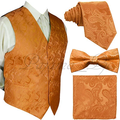 Men's Paisley Design Dress Vest and Neck Tie & Bow Tie & Hankie Set (4 in 1 Set) - Image 1 of 4