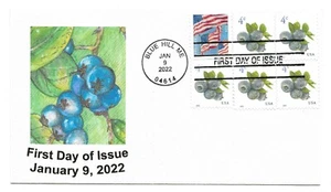 2022 Blueberries Additional Postage First Day of Issue - Picture 1 of 2