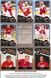 2011-12 OPC O-Pee-Chee Detroit Red Wings Complete Team Set w/ Leaders Beard (28)
