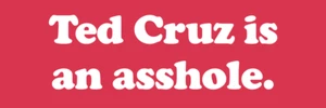 ANTI TED CRUZ STOßSTANGE AUFKLEBER ABZIEHBILD - Bild 1 von 1