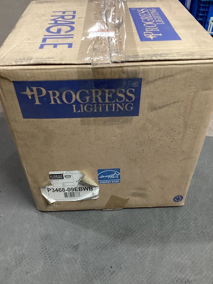 Progress Lighting P371309 Inspire Twolight Flush Mount Brushed Nickel