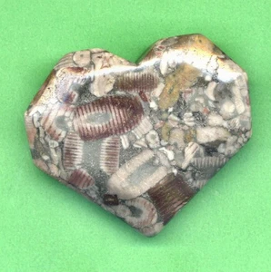 SELTEN 50x42x15mm natürlicher Insekteneinschluss Fossil Herz Reiki/Kristall Heilung (IH1 - Bild 1 von 5