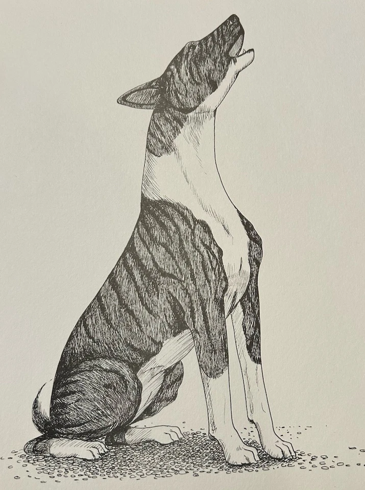 Basenji Howling By Martha Van Loan 8x10 Print - Image 1 of 1