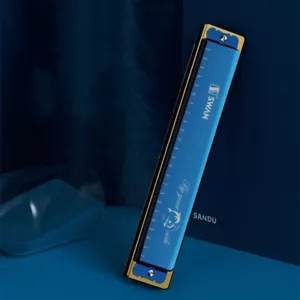 Custom Name Harmonica 24 Holes Tremolo Harmonica Key of C for Musicians Blue - Picture 1 of 12