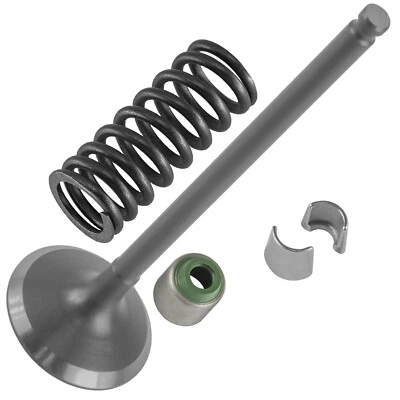 Kit de válvula de admisión para Yamaha WR250F 2002-2006 / 5NL-12111-30-00 5NL121113000 Foto 1 de 4