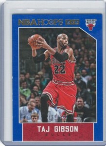 2015-16 NBA Hoops Blue Taj Gibson Chicago Bulls 172/399