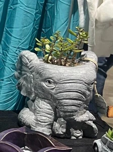 Elephant Statue Concrete Planter 8 in Pot - Picture 1 of 8
