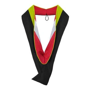Endea Graduation Masters Hood For Social Work, Social Science Citron/Red/Silver - Picture 1 of 6