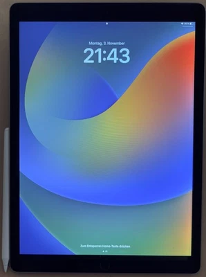 Apple iPad Pro 1. Gen 128GB, Wi-Fi , 12,9 Zoll - Space Grey + CASE + Stylus Pen - Bild 1 von 4