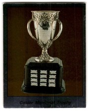 1987-88 Panini Stickers Calder Memorial Trophy #380