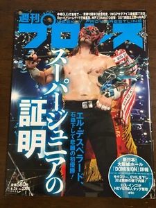 Weekly Pro Wrestling 6/26 2024 Japan Mag JPW AJPW New! - Imagen 1 de 2