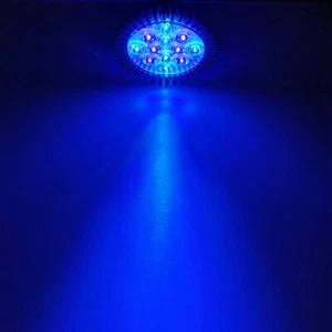 36W Purple Blue 470nm + 420nm PAR38 LED Lamp Spot Light Bulb for Plant Aquarium - Picture 1 of 9