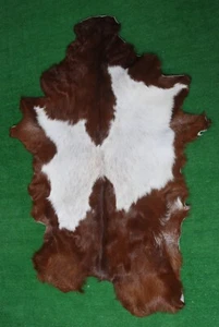Genuine Dark Brown Goat Hide Rug – Perfect for Rustic & Modern Décor - Bild 1 von 8