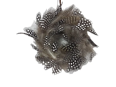 Federkranz D: 15  cm Perlhuhn Huhn Federn  braun  Kranz Deko Ostern / 1377220802 - Bild 1 von 3