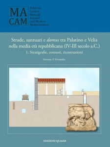 Strade, santuario e domus tra Palatino e Velia nella media età repubblicana - Picture 1 of 1