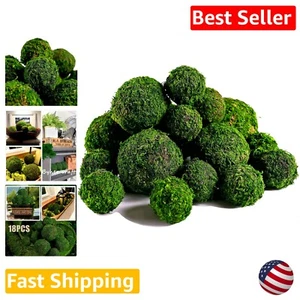 Decorative Moss Balls for Centerpiece Bowls - Set of 18 Natural Dried & Green... - Picture 1 of 9