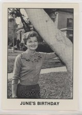 1983 Pacific Leave it to Beaver June's Birthday #19 0q3