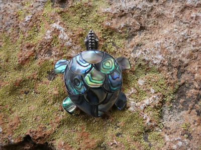 Tortuga marina tortuga colorido abulón plata esterlina 925 broche colgante E95 Foto 1 de 4