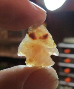 ANCIENT CORAL INDIAN AUTHENTIC ARROWHEAD STONE FROM FLORIDA 20MM X 17MM WIDTH - Picture 1 of 5